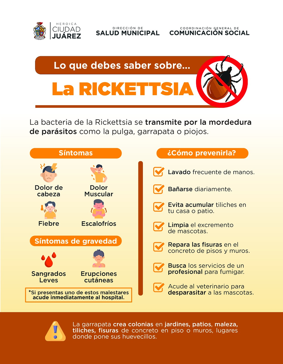 Llama Salud Municipal a informarse y prevenir la rickettsia.