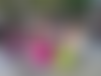 Realizará grupo de Danza Folklórica de la Secundaria Técnica No. 60 gira por Italia.