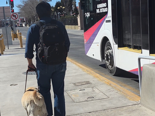 Utilizaron JuárezBus en agosto más de 5 mil pasajeros con tarjeta de movilidad limitada