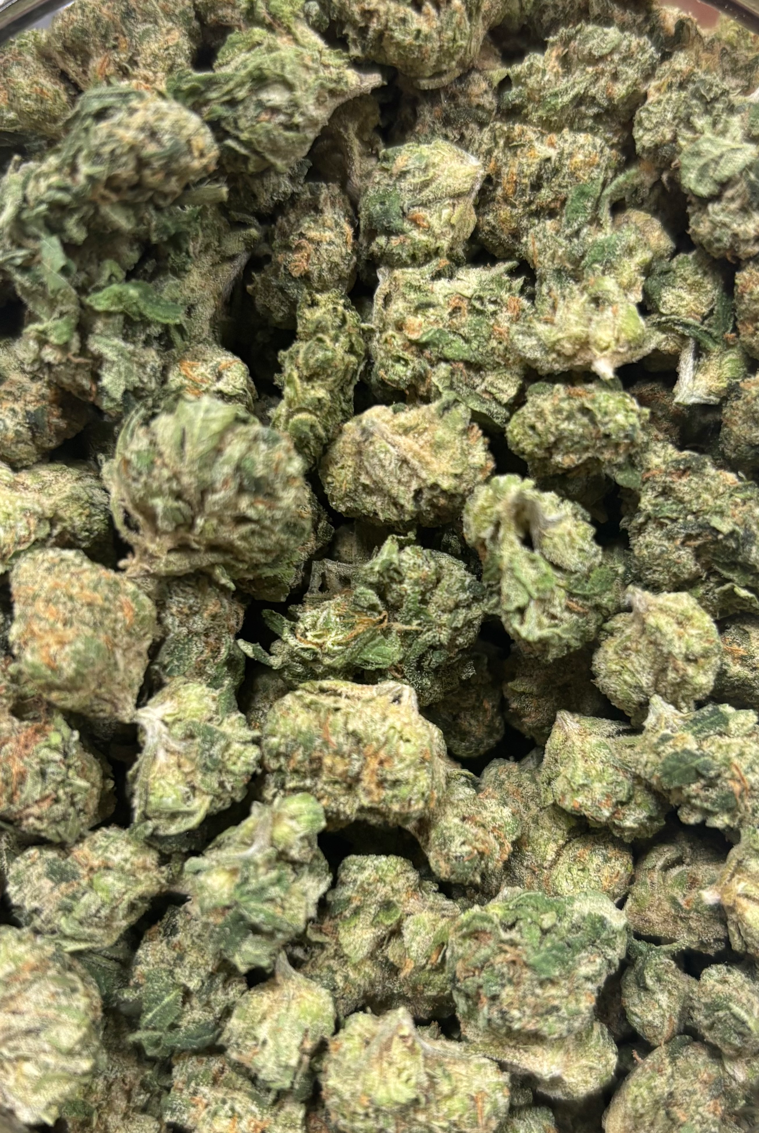 Acapulco Gold Sativa 29%