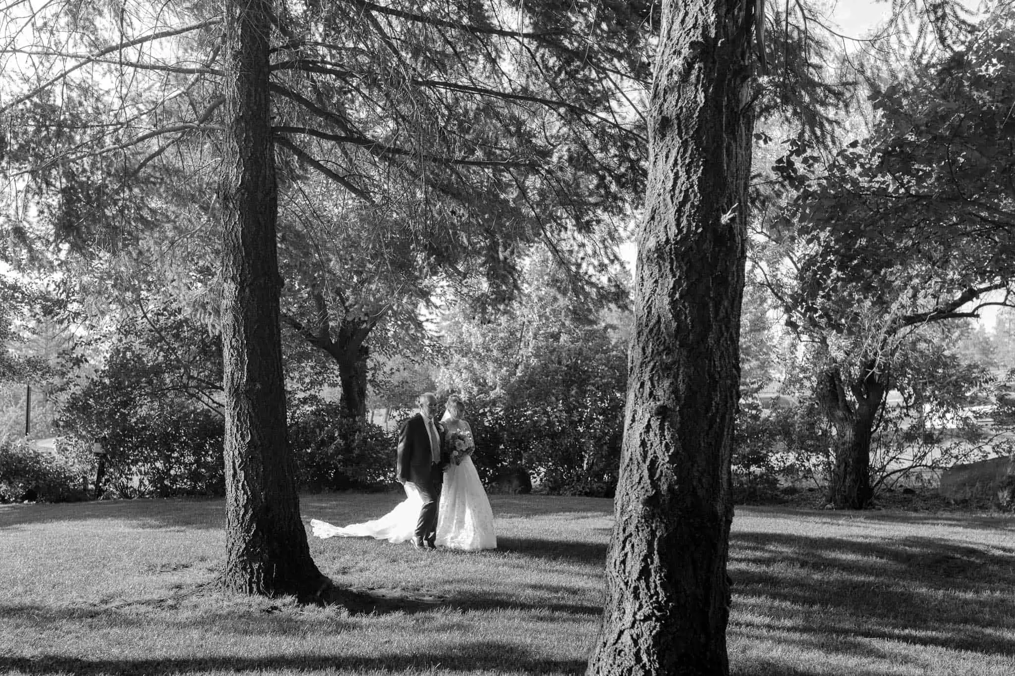 brides dad walking her down the aisle at arbor crest winery