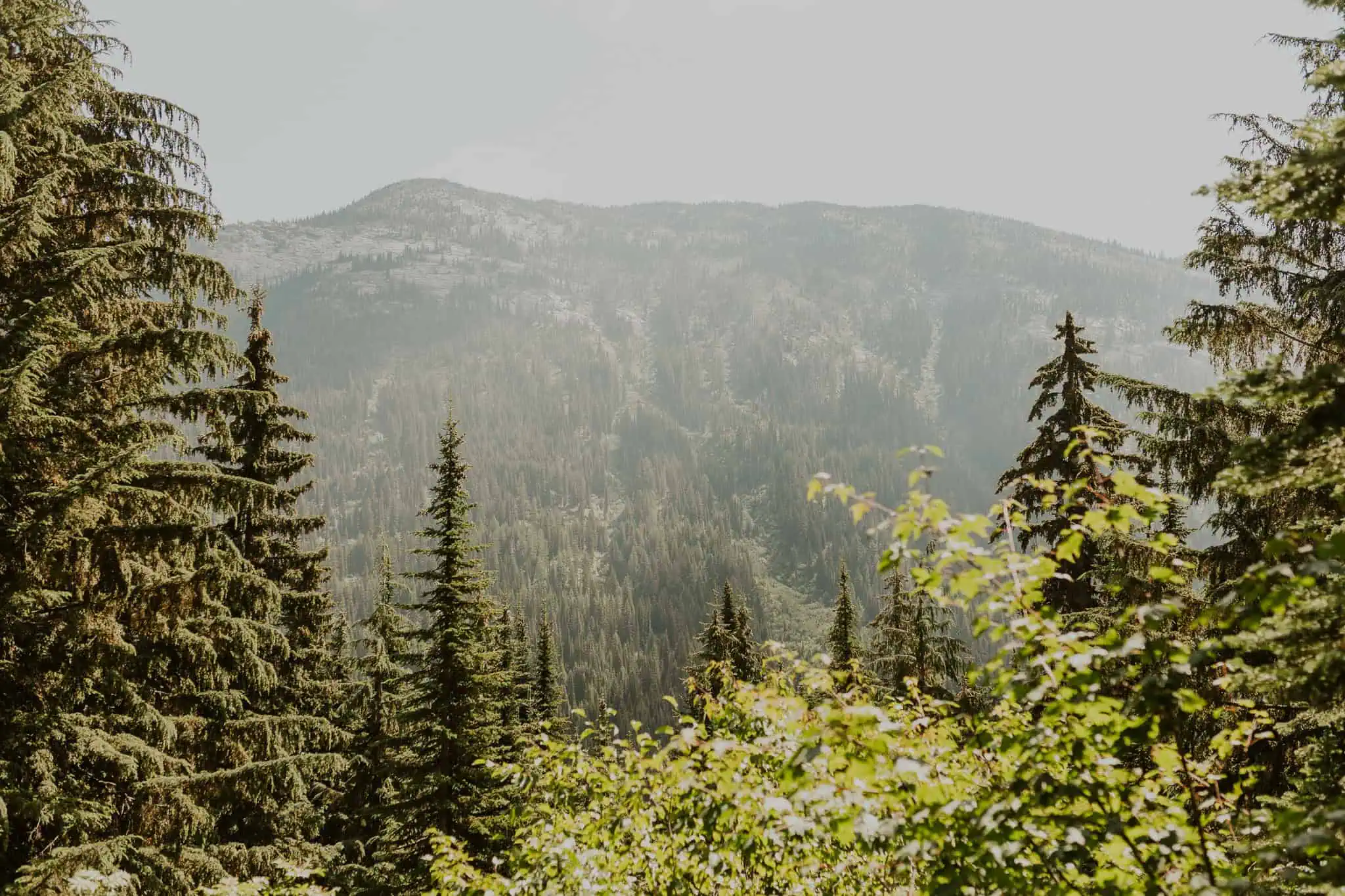 hiking in the mountains of north idaho