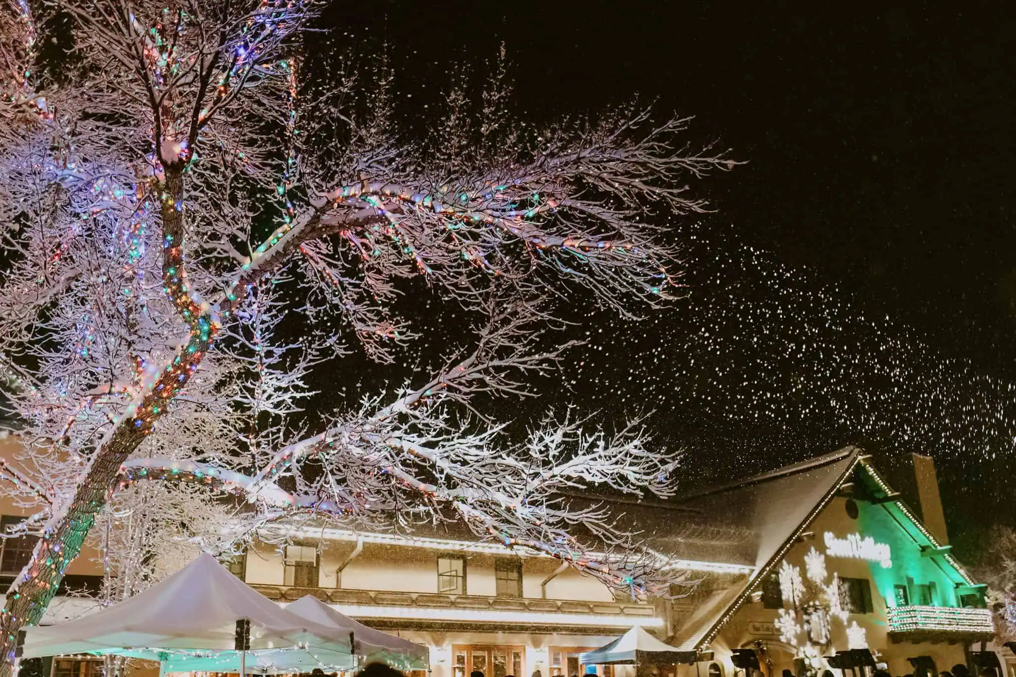 sun valley tree lighting ceremony