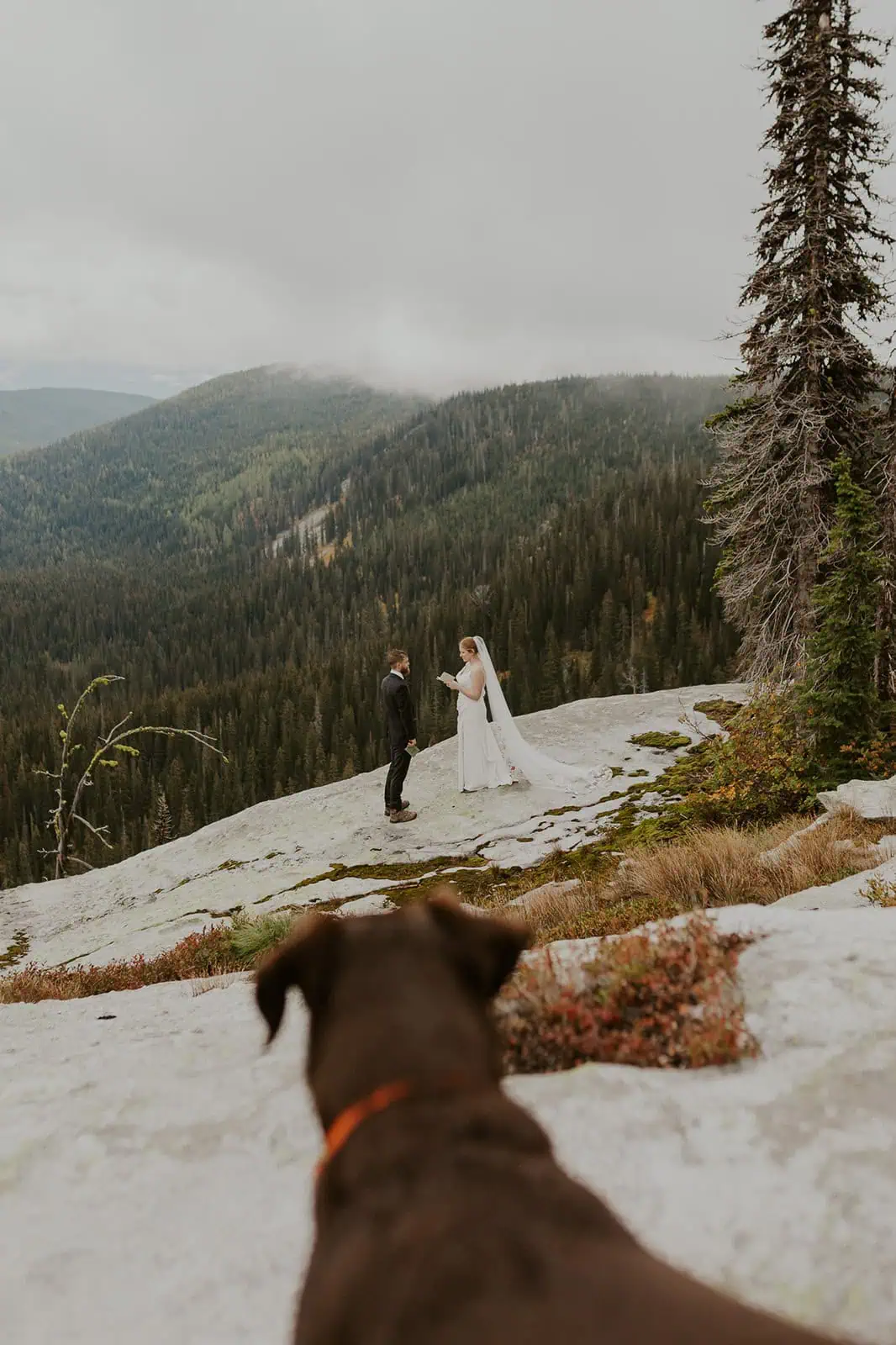 private vows at mountain overlook in north idaho