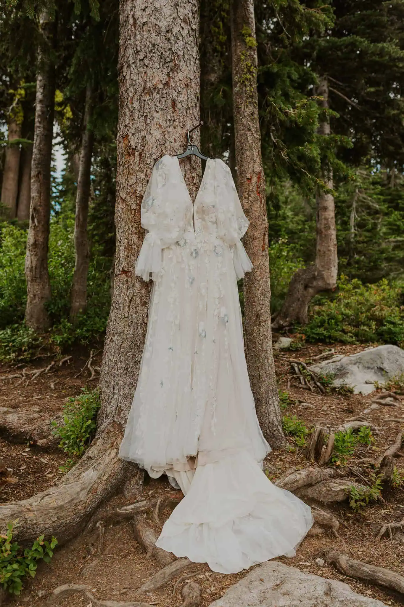 a wedding dress hanging from a tree