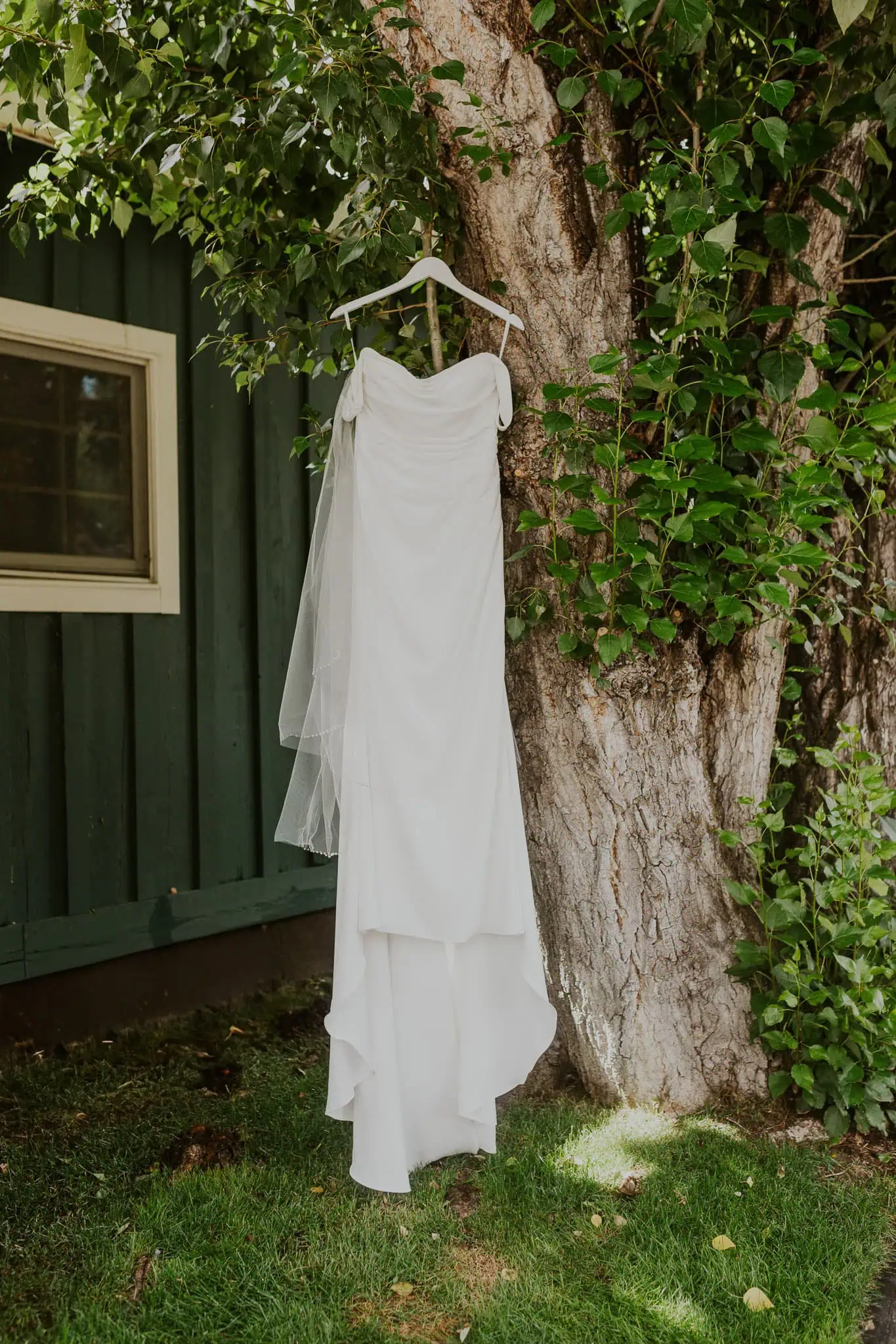 a wedding dress hanging from a tree