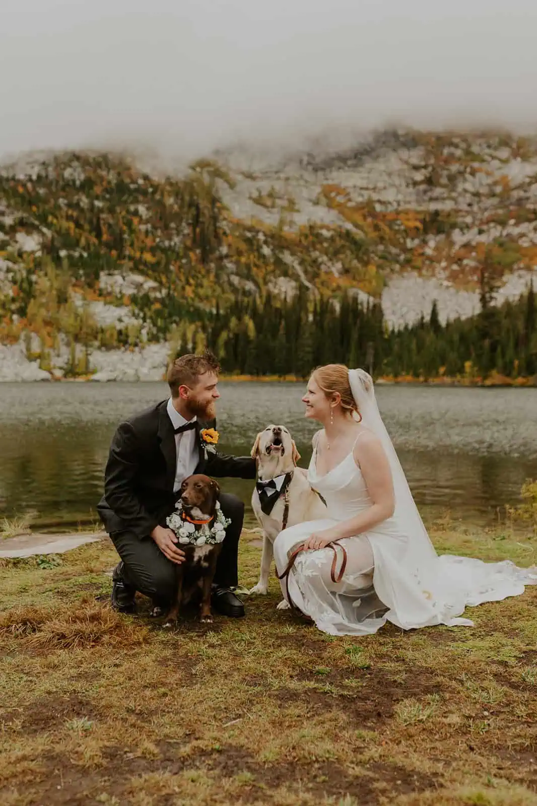 bride and groom smiling with their dogs
