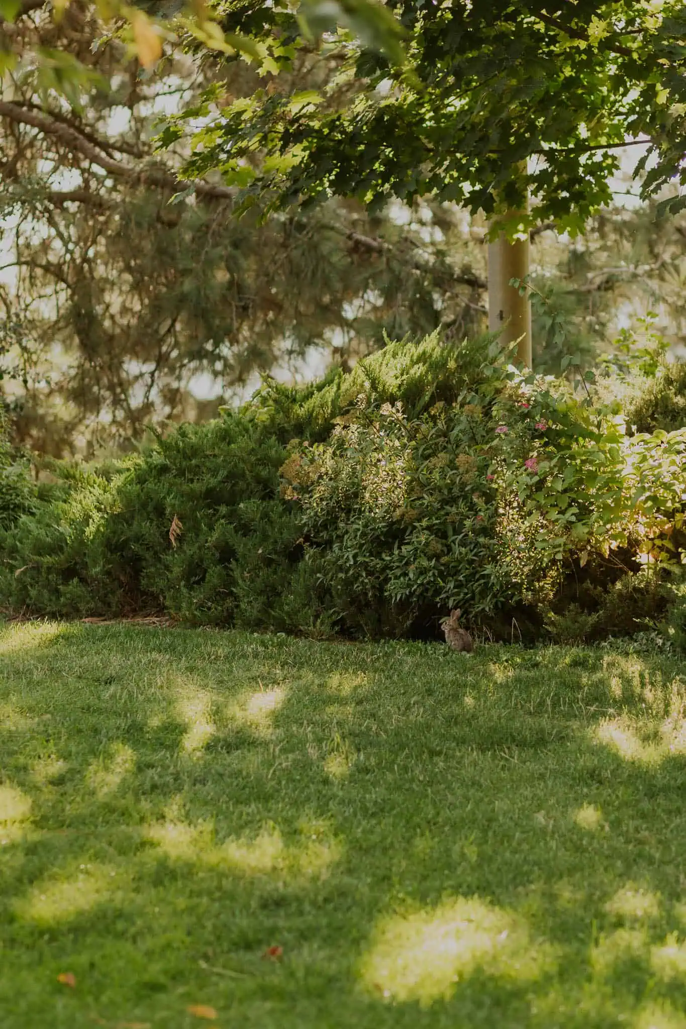 ceremony at the enchanted forest arbor crest