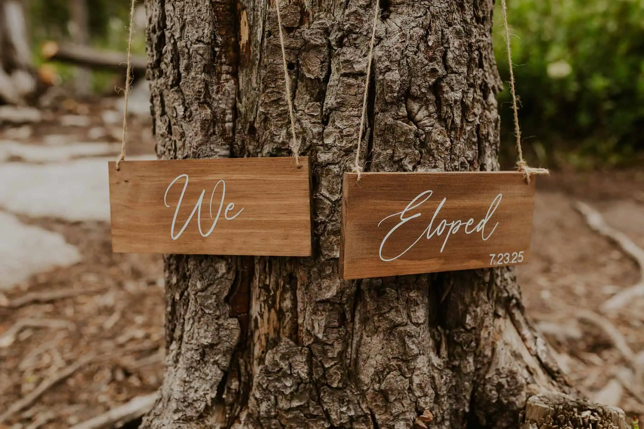 wooden we eloped signs