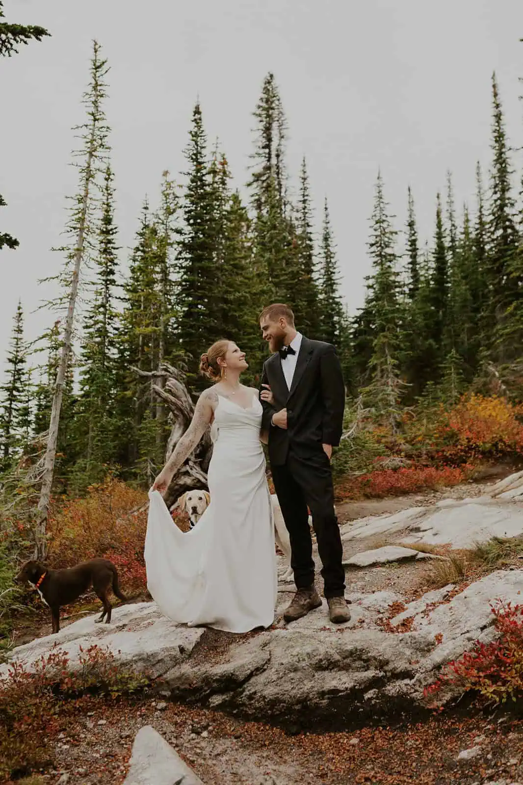 fall hiking mountain elopement with dogs