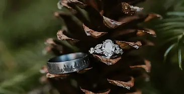 pinecone with wedding rings in it
