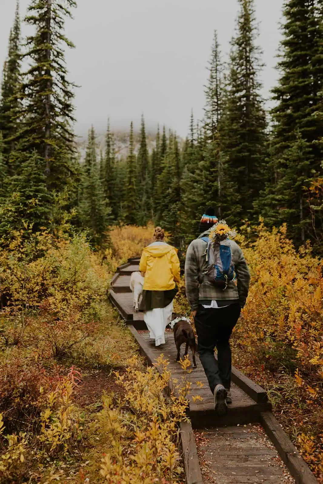 hiking into the mountains in fall