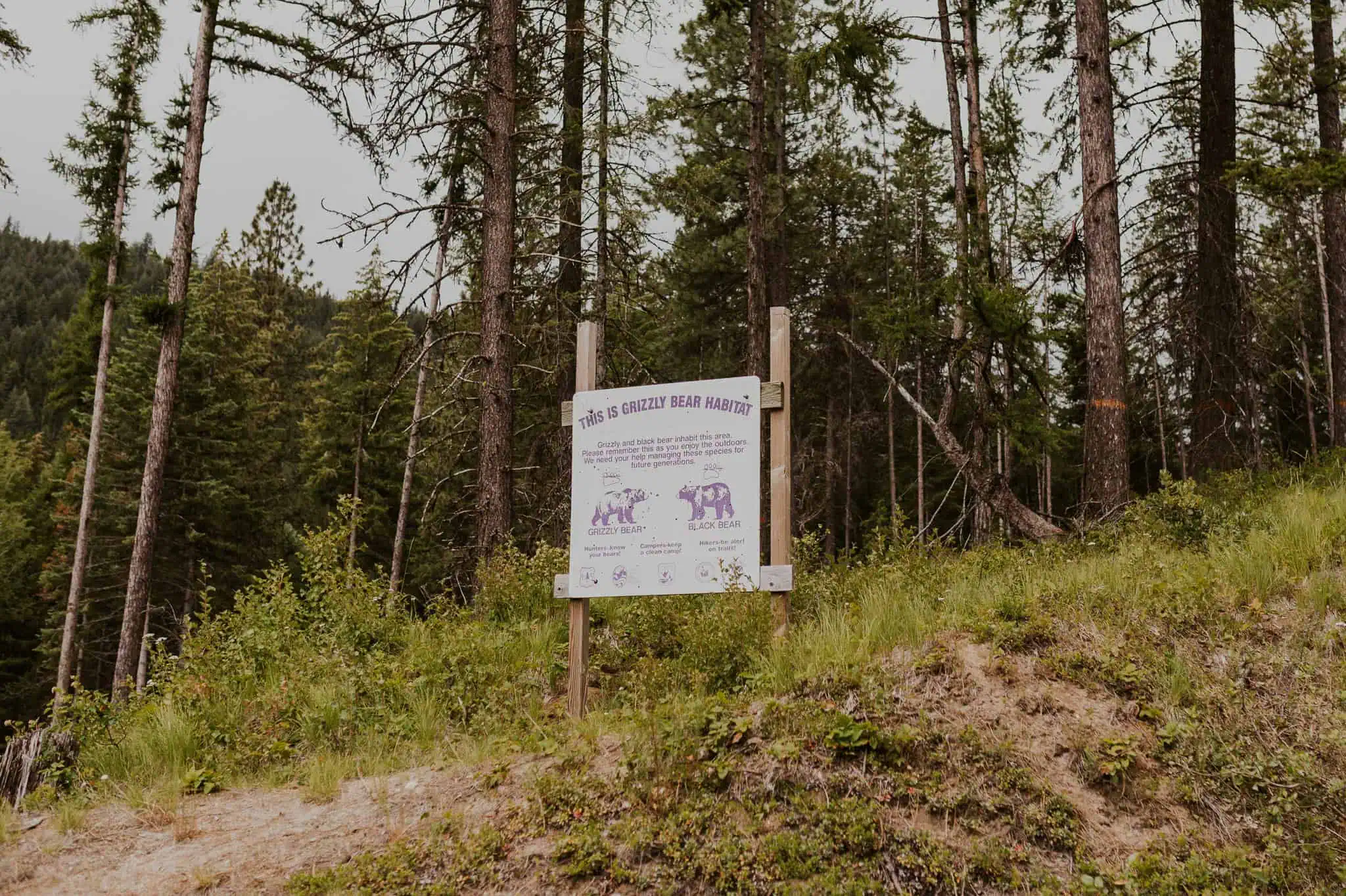 a bear territory sign