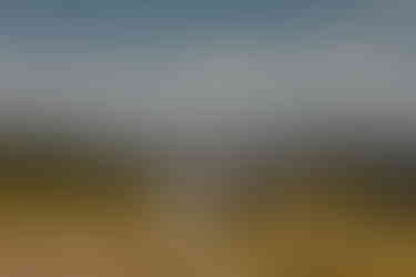 elopement with hiking backpack signs