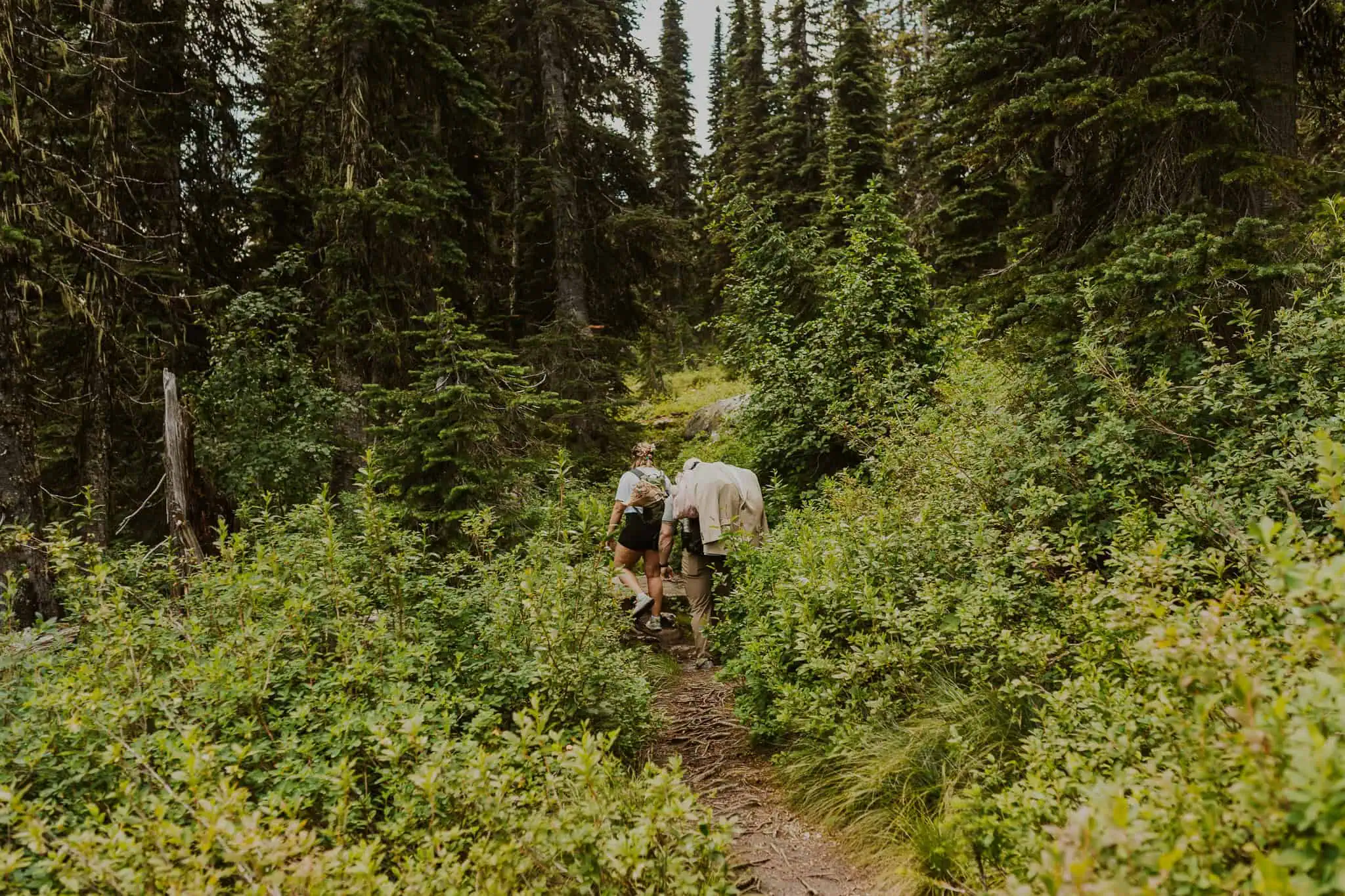 hiking in the mountains of north idaho