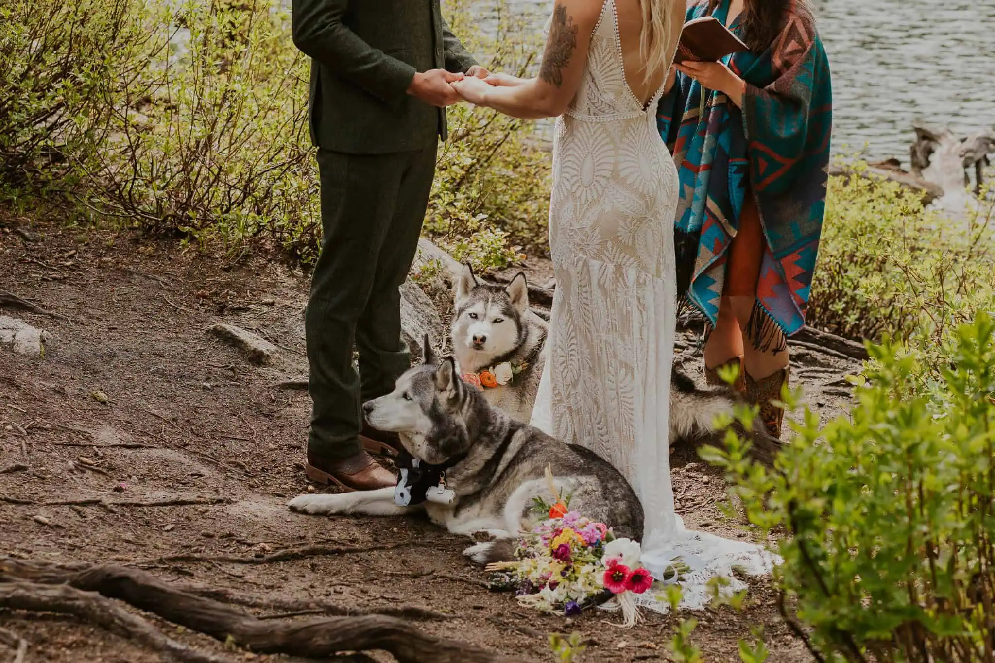 huskies laying at the feet of their owners for their wedding ceremony