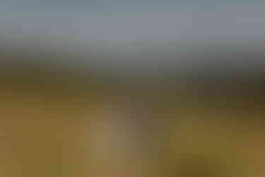 bride and groom kissing on mountaintop