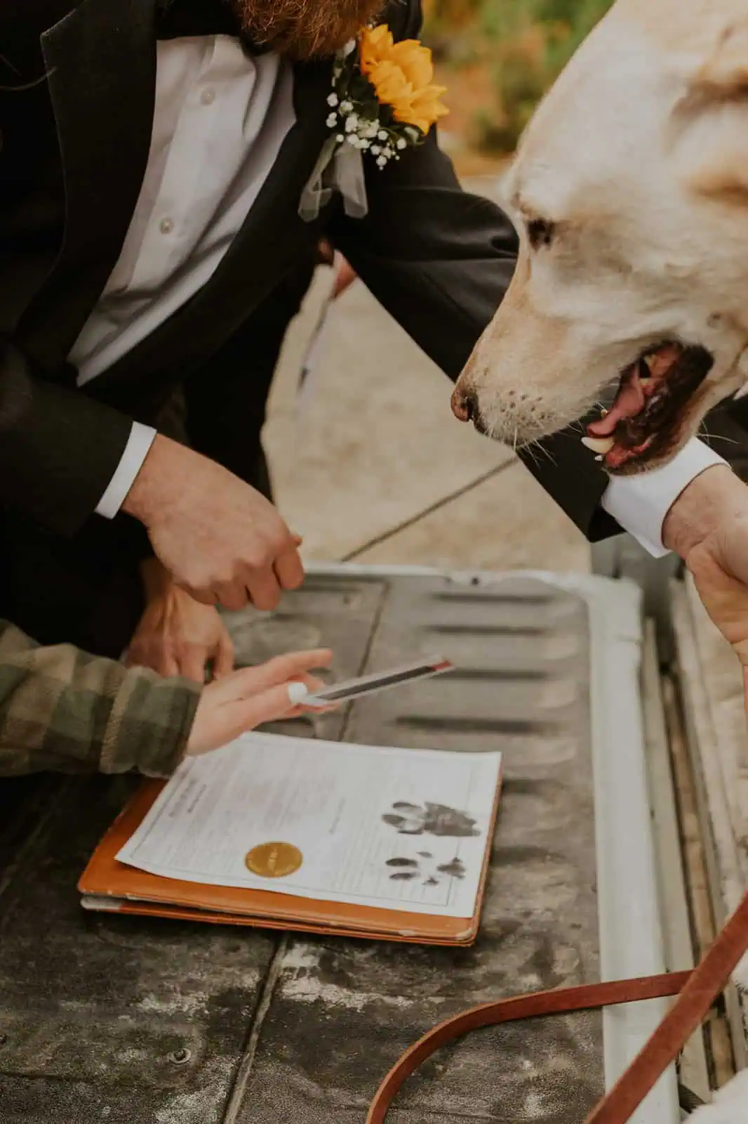 dogs signing marriage license