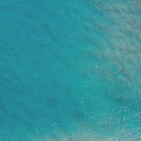 Coast_edited_edited.jpg