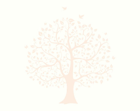 564-5649978_silhouette-tree-clip-art-tree-of-life-png_edited_edited_edited_edited_edited.jpg