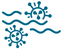dangerous_seaweed_sargassum.png