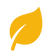 leaf (1).png