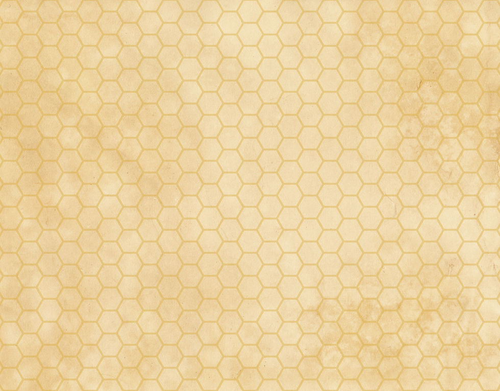 website background.jpg