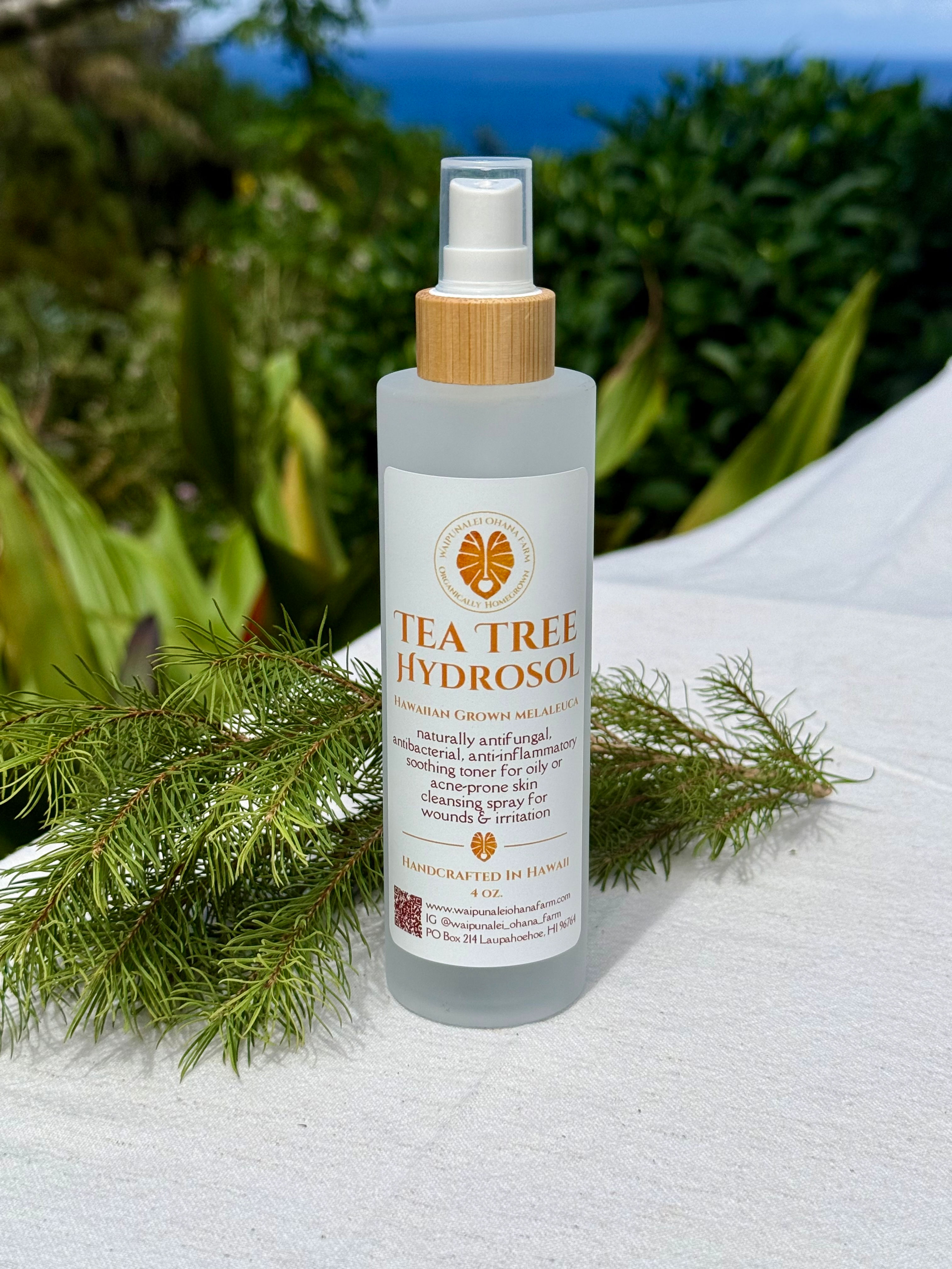 Tea Tree Hydrosol | 120 mL