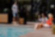 DSC01333.jpg