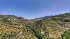 Visitar Douro - Estrada Nacional N222