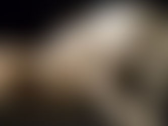 Finding the Perfect Lamb