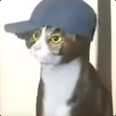 blank-profile-picture-png.png