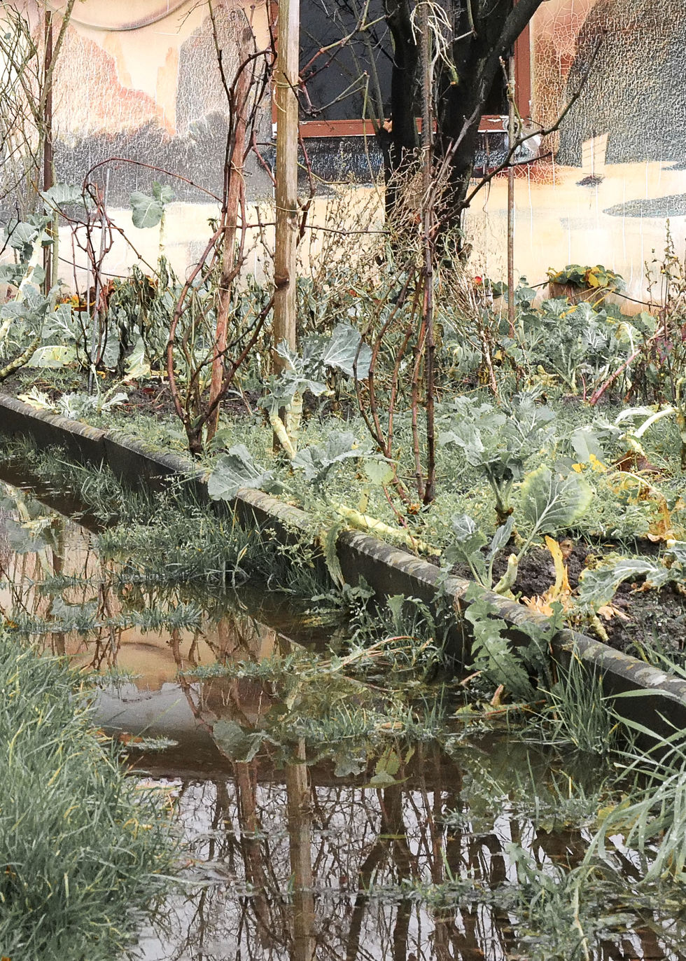 TheFlood4