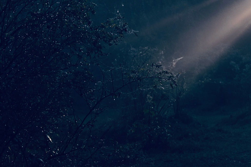 TheFlood5
