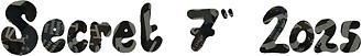Secret 7 2025_edited.jpg