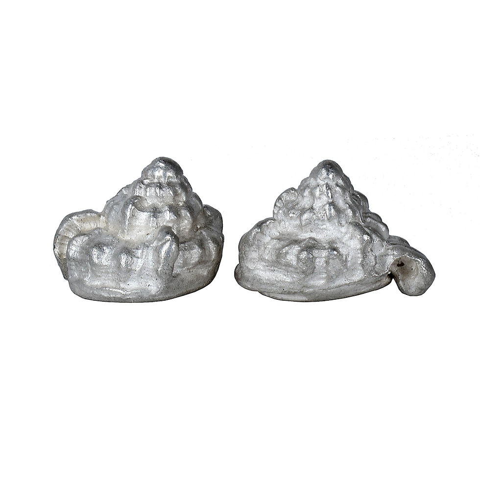Thumbnail: Sandrine B. Jewelry Seashell Earring