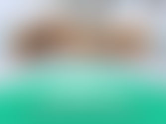 ‘Expert Self Assessment Services’