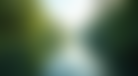 Unveiling the Artistic Essence of Mystic Memories Photography