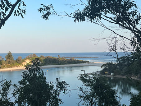 Ultimate Guide to Fishing in Sussex Inlet NSW for Every Angler
