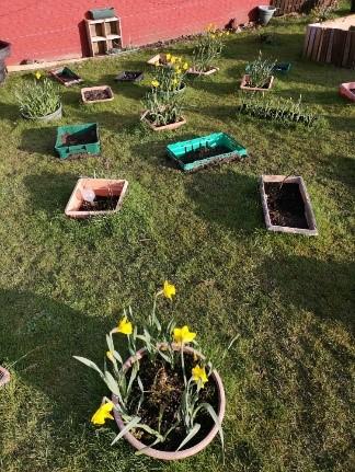 image shows several gardening spots with vegetables being grown