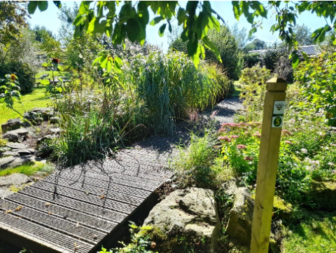 Wellbeing walks