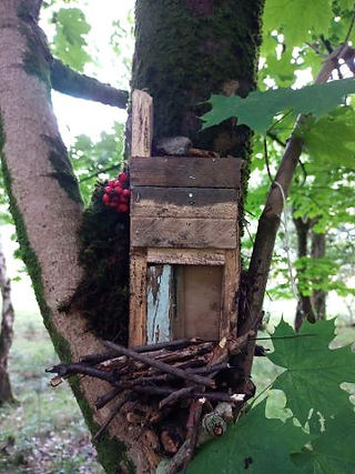 elf tree