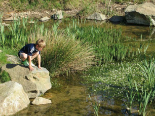 A young boy on a large rock overlooking a grassy pond