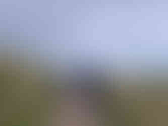 walkers on moor with grass around them