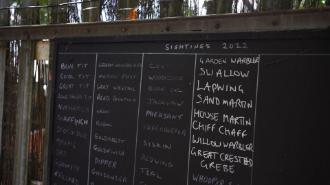 blackboard with text on it