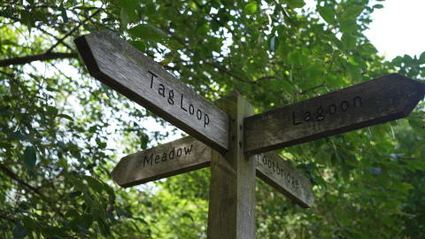 cross roads sign pointing to tag loop