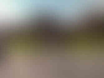 Children playing in park