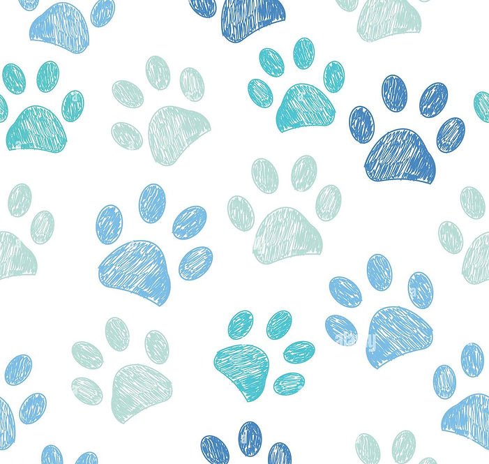 seamless-blue-colored-paw-print-background-2BM75XK_edited.jpg