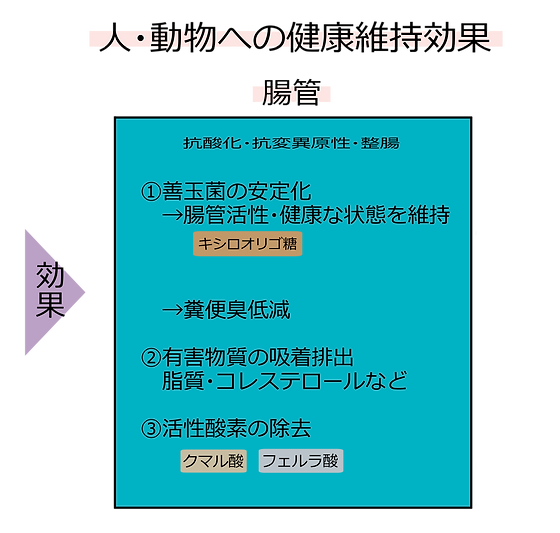 有効成分の健康維持作用(人・動物)_修正.png