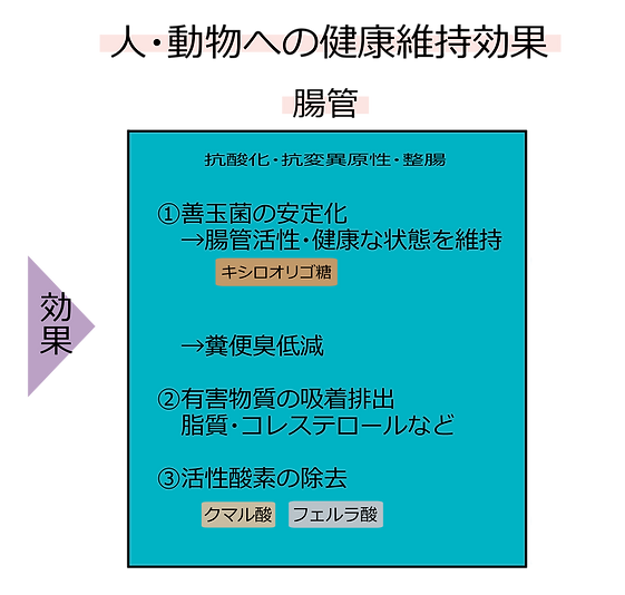 有効成分の健康維持作用(人・動物)_修正.png